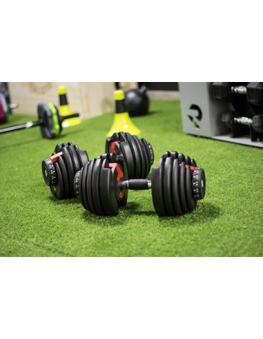 Mancuernas ajustables 2 5-24 kg  par 