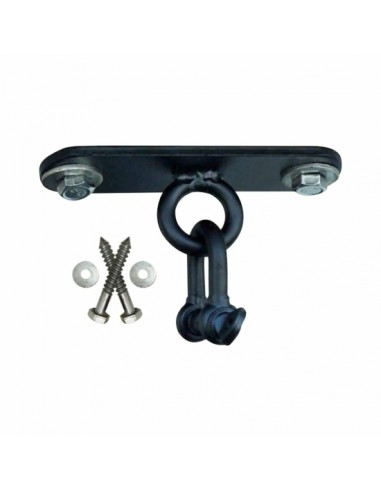 Soporte de techo con argolla D 5'' soporte hasta 1