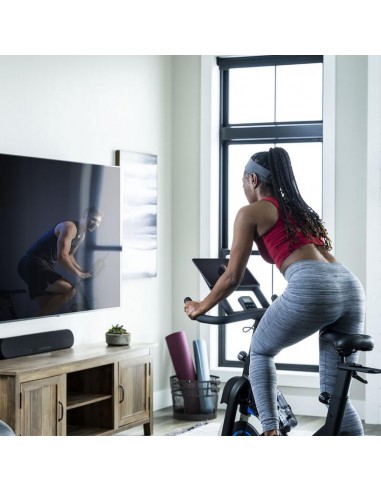 Bicicleta ciclo indoor 5 0IC - Horizon Fitness