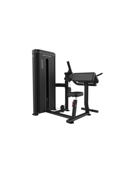 Biceps-Triceps 80 kg