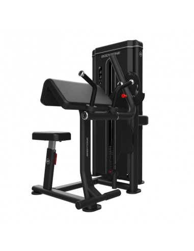 Biceps-Triceps 80 kg