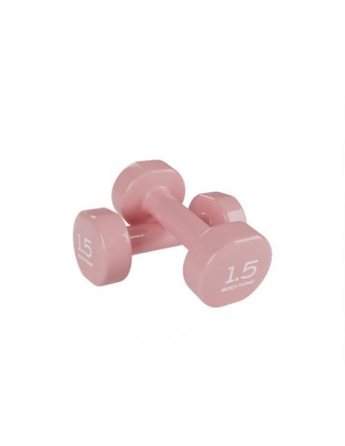 DV1 5 – Pesas de vinilo 2 x 1 5 Kg