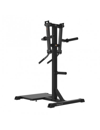 Standing Lateral Raise SG24