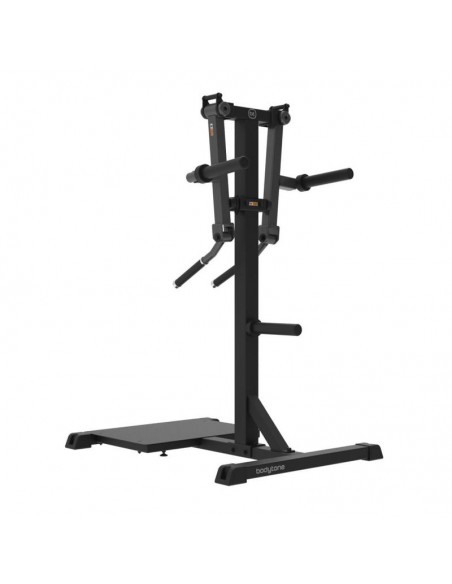 Standing Lateral Raise SG24