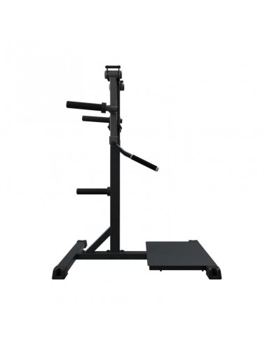 Standing Lateral Raise SG24