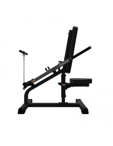 Biceps / Triceps SG32