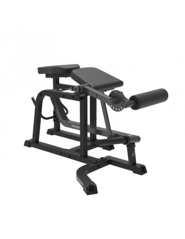 Prone Leg Curl SG55