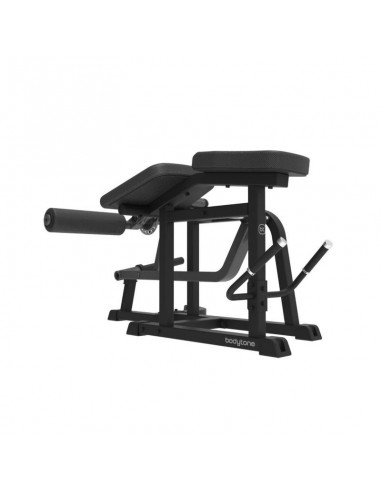 Prone Leg Curl SG55