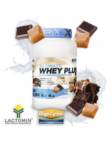 Whey Plus Ultimate 1 kg Choco caramelo - Erix