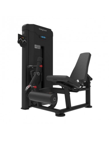 Extensión de piernas FH52