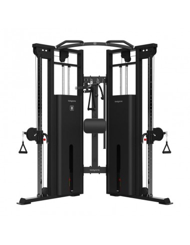 DAP Dual Pulley - Bodytone