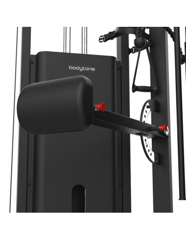 DAP Dual Pulley - Bodytone
