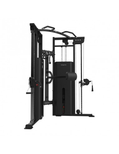 DAP Dual Pulley - Bodytone