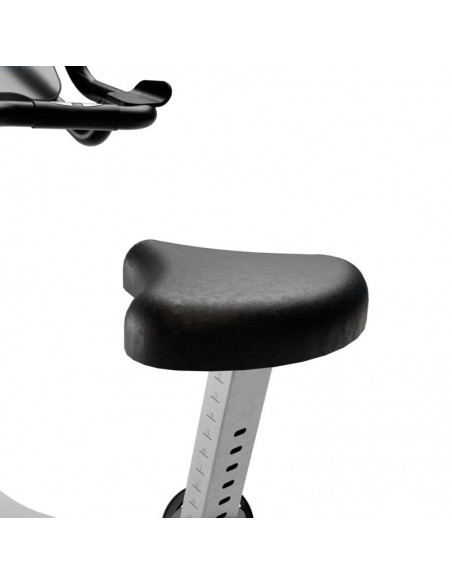Bicicleta Vertical Profesional