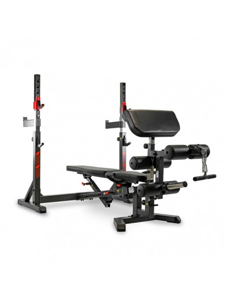 G510100 CURL/BICEPS PRE - BH