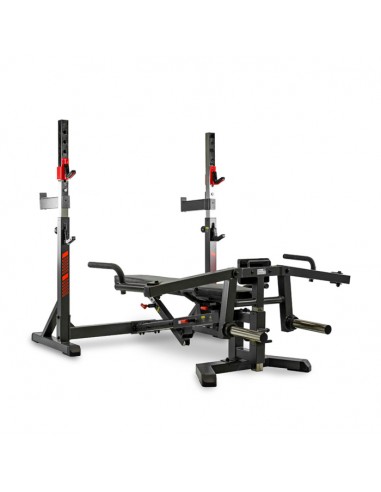 G510200 BUTTERFLY PRESS - BH